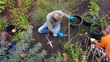 onkruid wieden is schoon werk